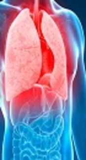 Trend Analysis of Knowledge and Practice of National Tuberculosis Guidelines Among Medical Students: A Two-Year Interventional Study in Shiraz, Iran
